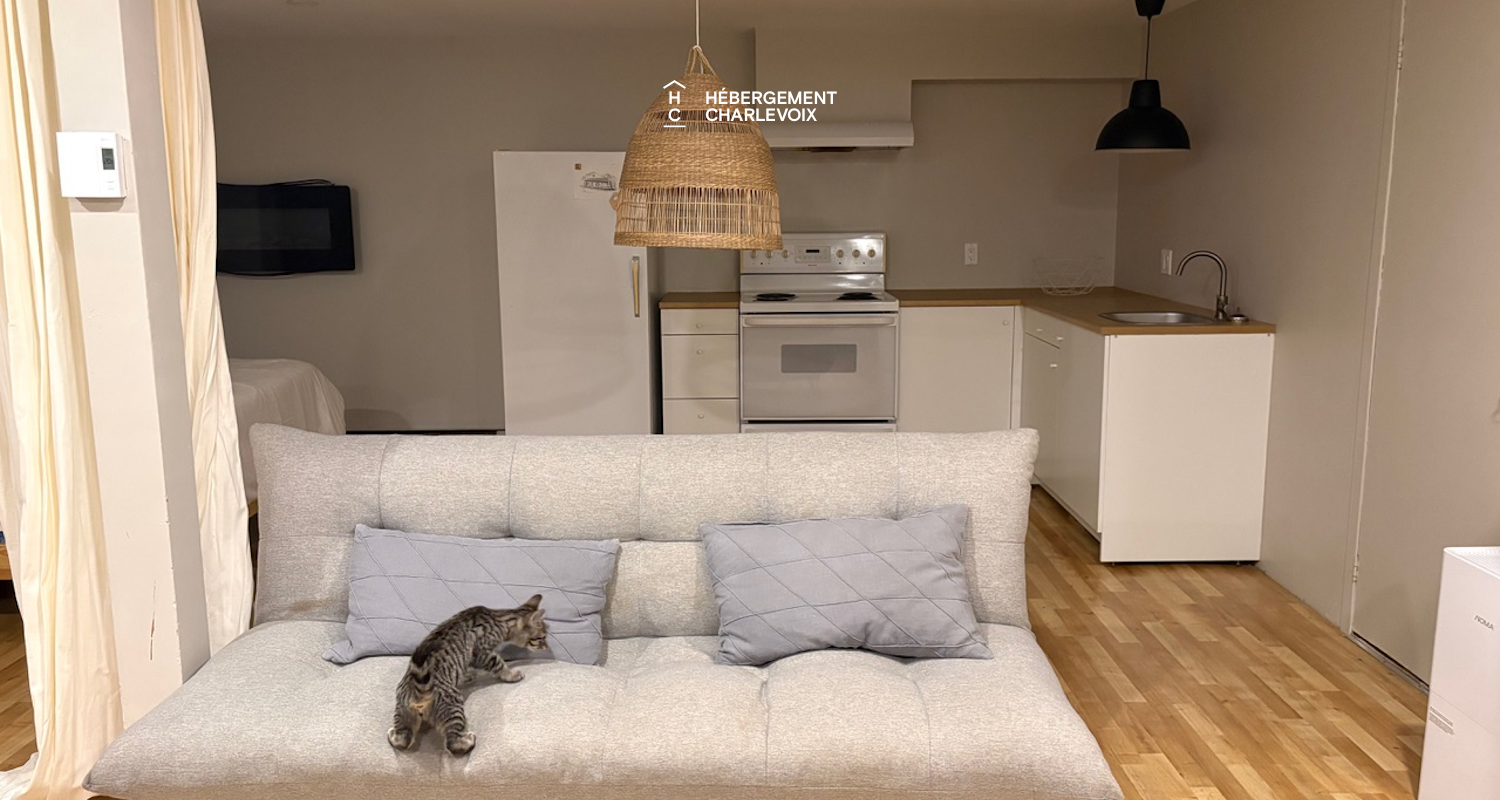 CAP-3 - Charming apartment in Baie-St-Paul